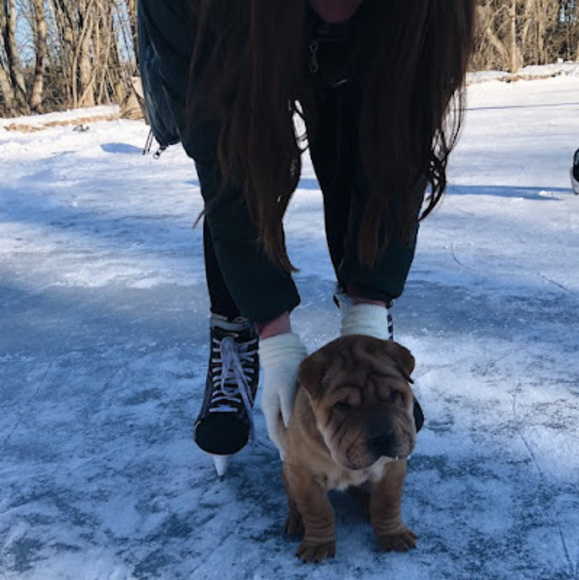 Meet your Posher, Ava - Picture 1 of 1